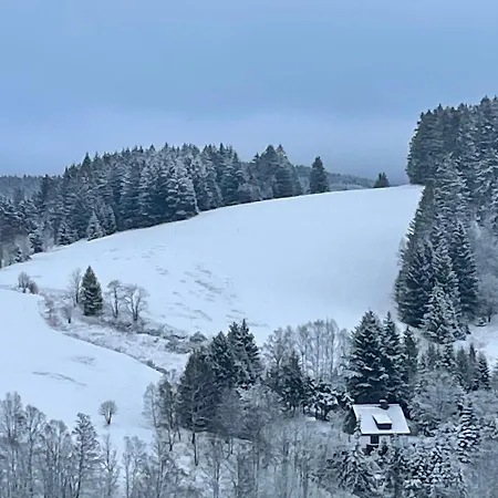 Waldkauzchen * Altenau (Lower-Saxony)